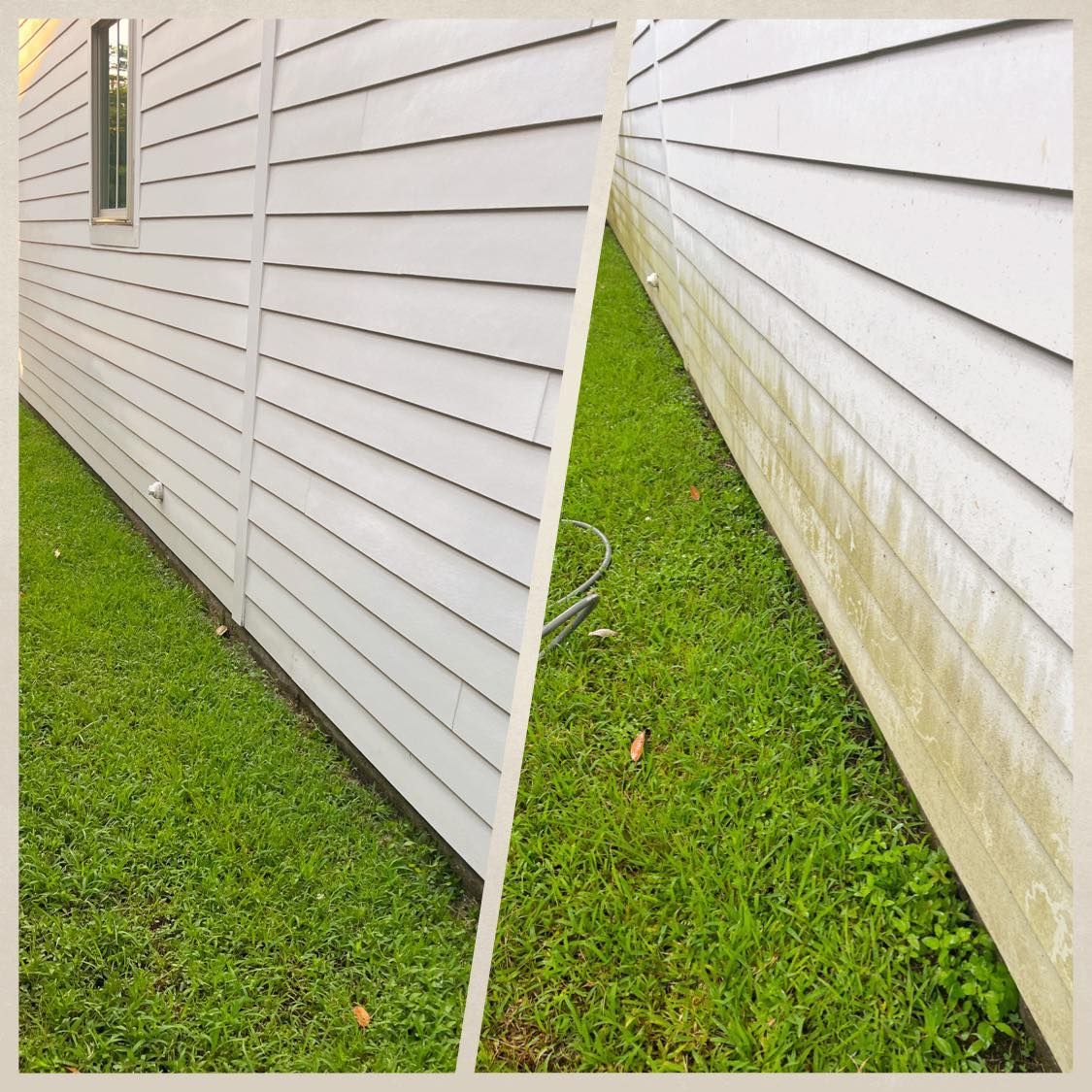 Split photo: House siding cleaned (left) and dirty with algae (right), grass below.