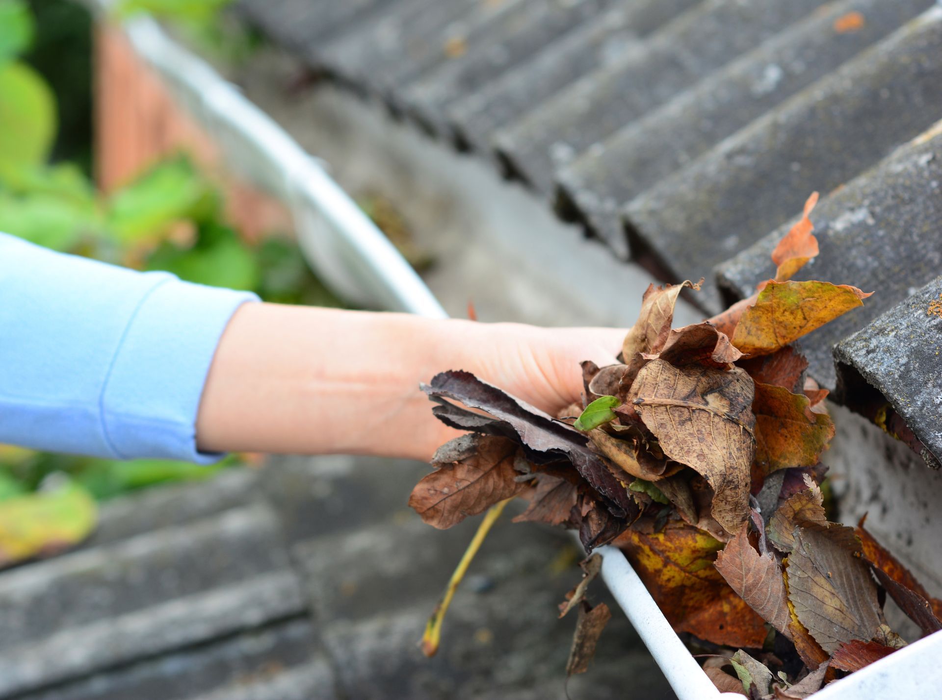 Person's hand cleaning a gutter filled with dry leaves on a rooftop.