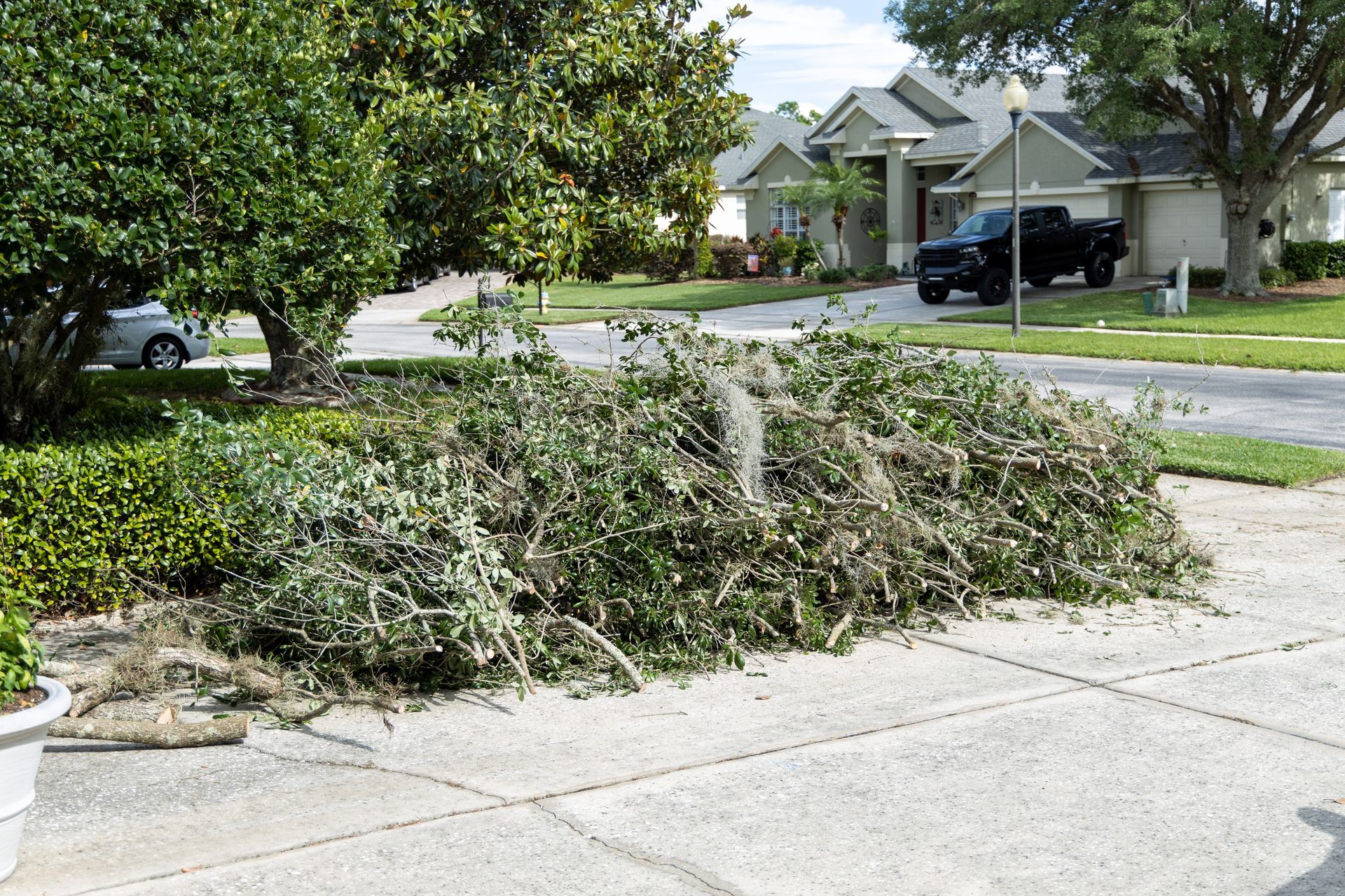 Pile of green yard waste on a driveway, suburban homes in the background.