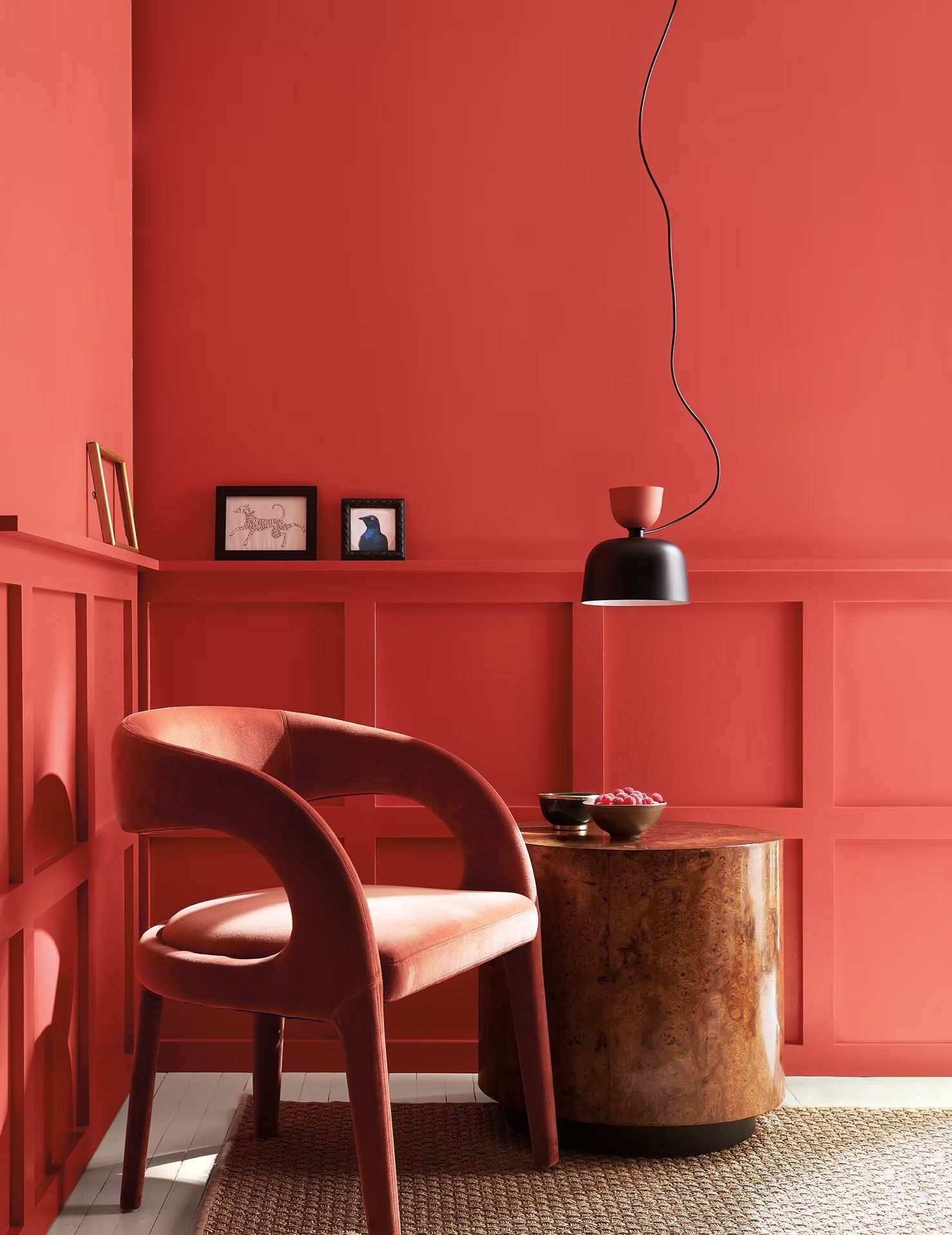 Coral room with a red chair, small side table, wall shelves, and a black lamp