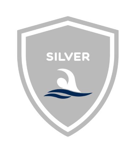 A silver shield with a swimming helmet on it.