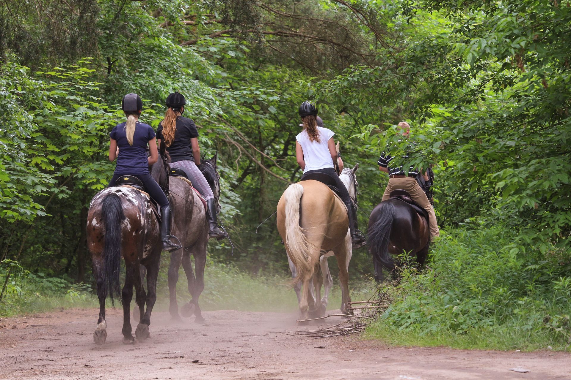 Four people horseback riding on a forest trail, kicking up dust under green trees
