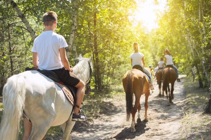 People riding horses along a sunny forest trail