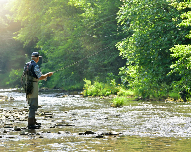 Person fly fishing in a sunlit river surrounded by lush green forest