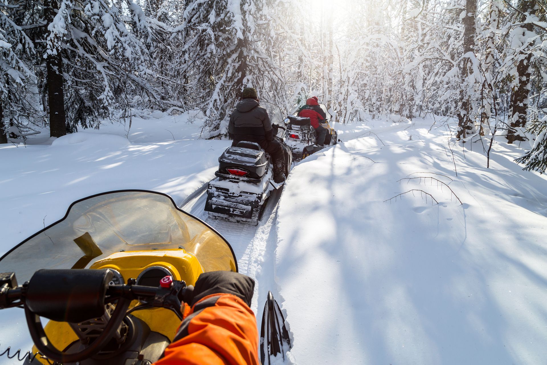Snowmobilers riding through a snowy forest trail, seen from behind on a sunny winter day