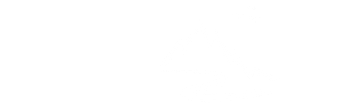 Mostly blank white image with a thin black horizontal line near the center-left.