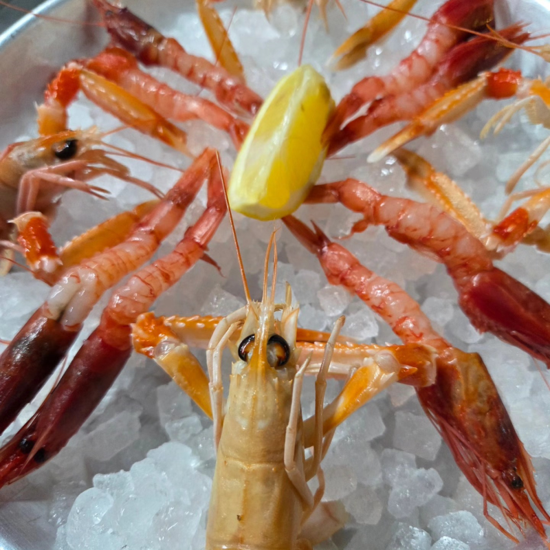 Scampi interi crudi su ghiaccio tritato con code rosso-arancio e guarnizione gialla