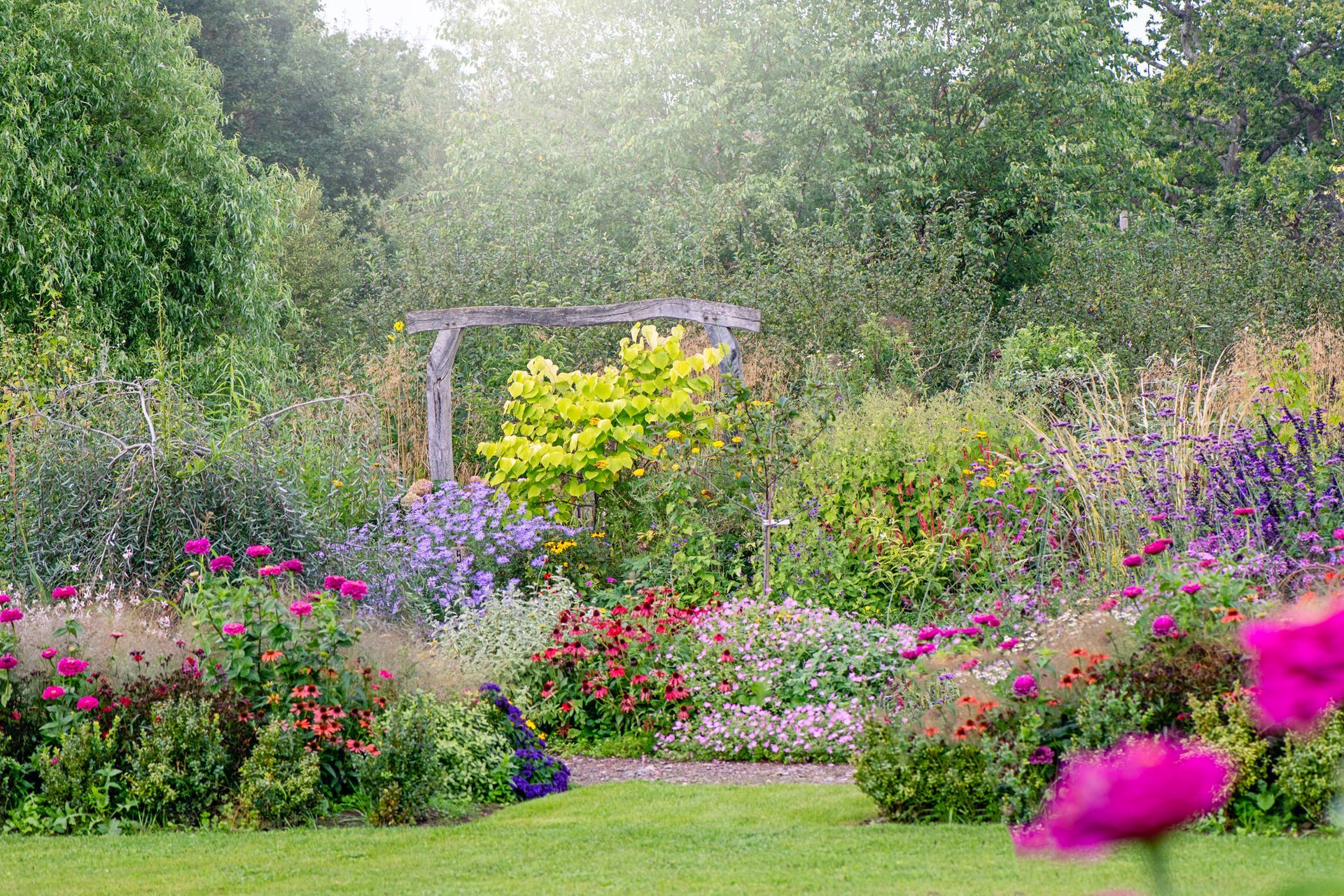 Colorful garden with blooming flowers and a wooden arch under trees, in a lush green landscape