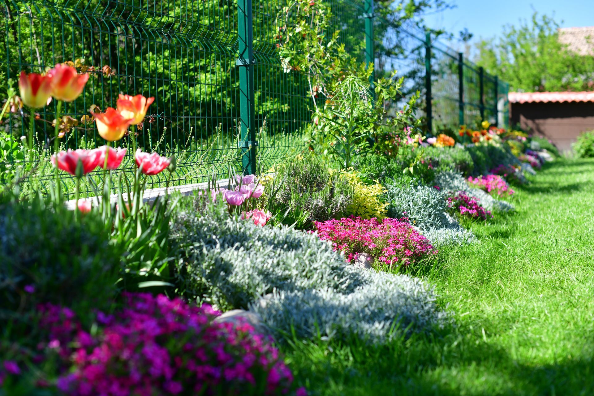 Colorful flower beds along a sunny garden path beside a green fence and grassy lawn.
