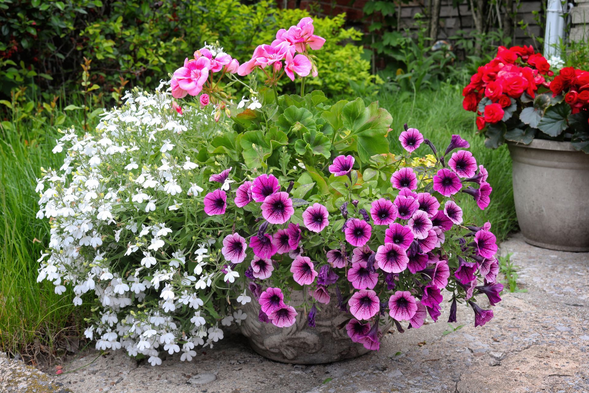 Potted pink, white, and red flowers blooming on a garden patio