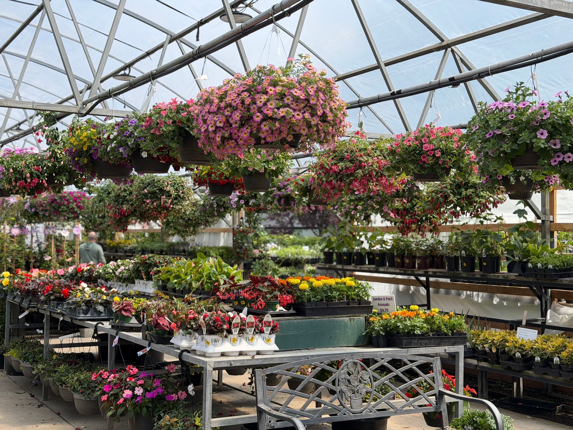 Flower-filled greenhouse with hanging pink baskets and rows of potted plants on metal tables