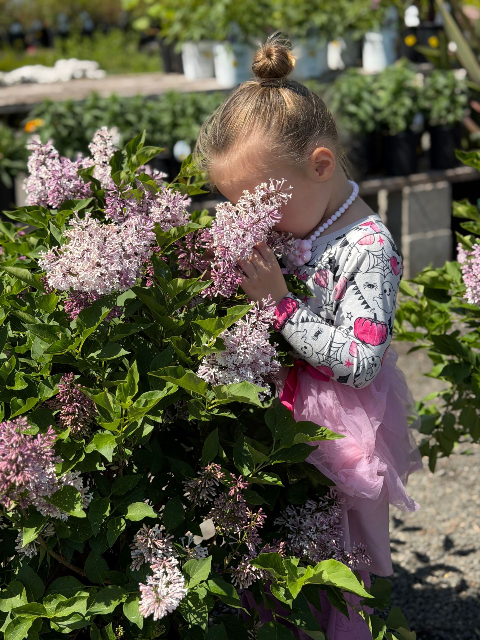Child smelling pink flowers in a garden center, wearing a pink dress and standing beside a large blooming shrub