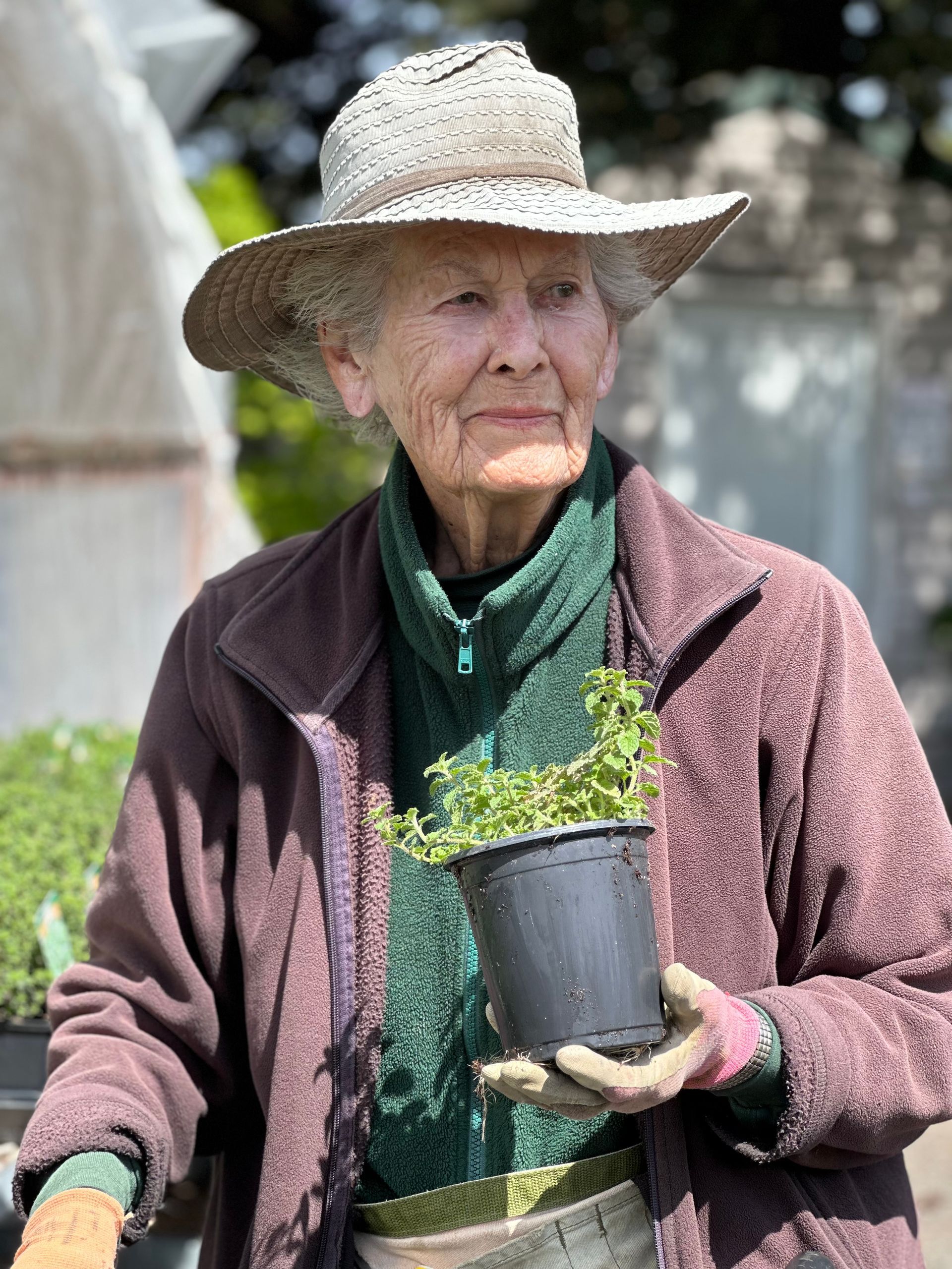 Gardener holding a potted plant outdoors, wearing a straw hat and green shirt