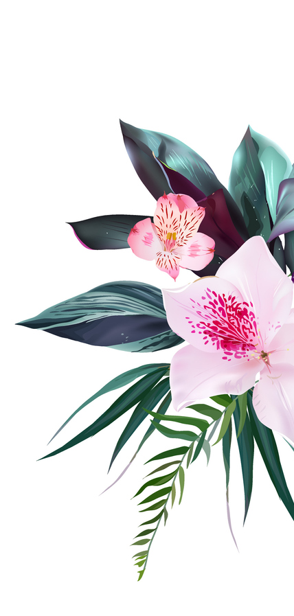 Light pink flowers and tropical leaves against a white background. Light pink flowers and tropical leaves against a white background.