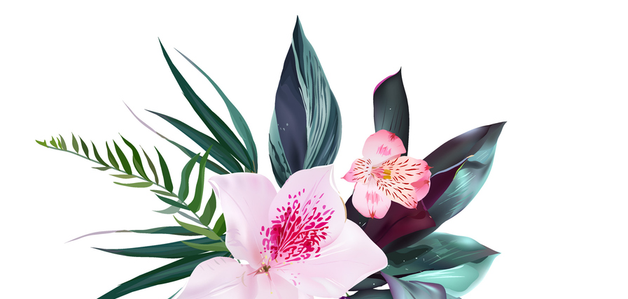 Light pink flowers and tropical leaves against a white background. Light pink flowers and tropical leaves against a white background.