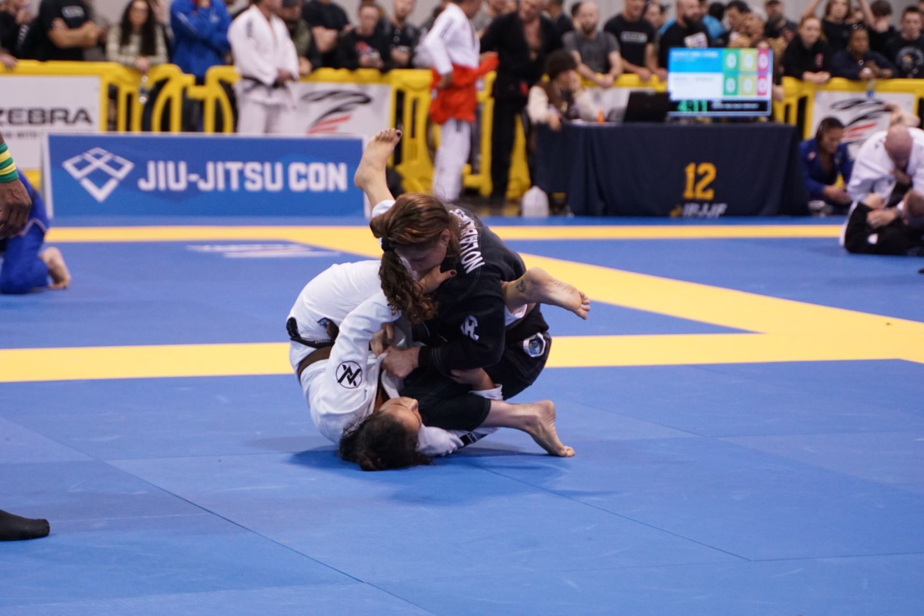 Jiu-Jitsu