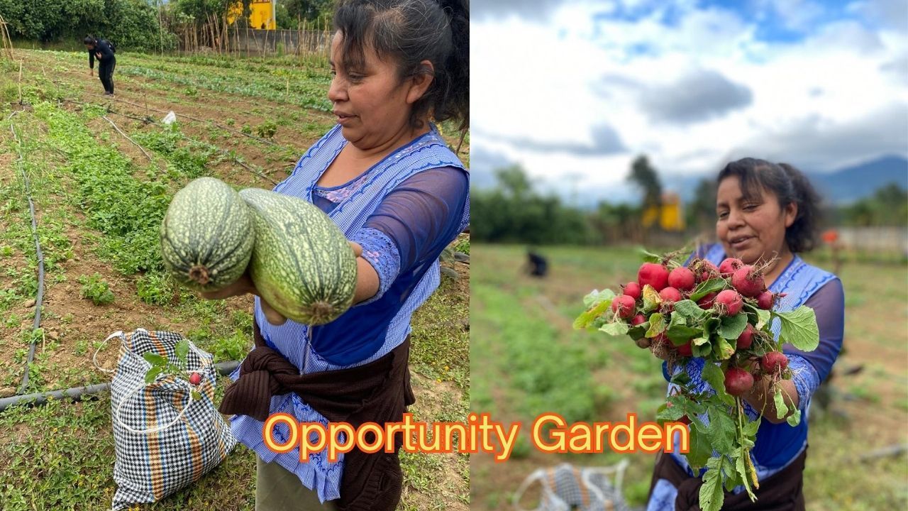 Foundation for the Higher Good Cultivates Community Through Gardening.