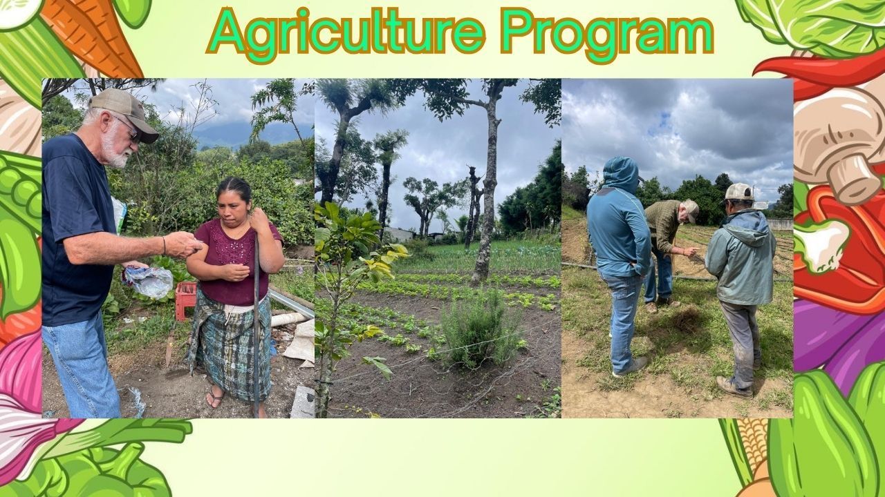 Support Self-Sufficiency With Foundation for the Higher Good's Garden Projects.