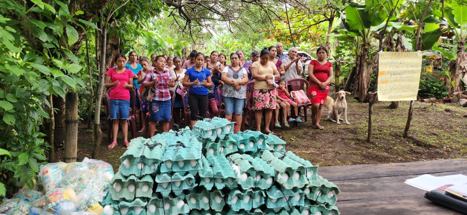 Foundation for the Higher Good Brings Sustainable Solutions to Food Insecurity.