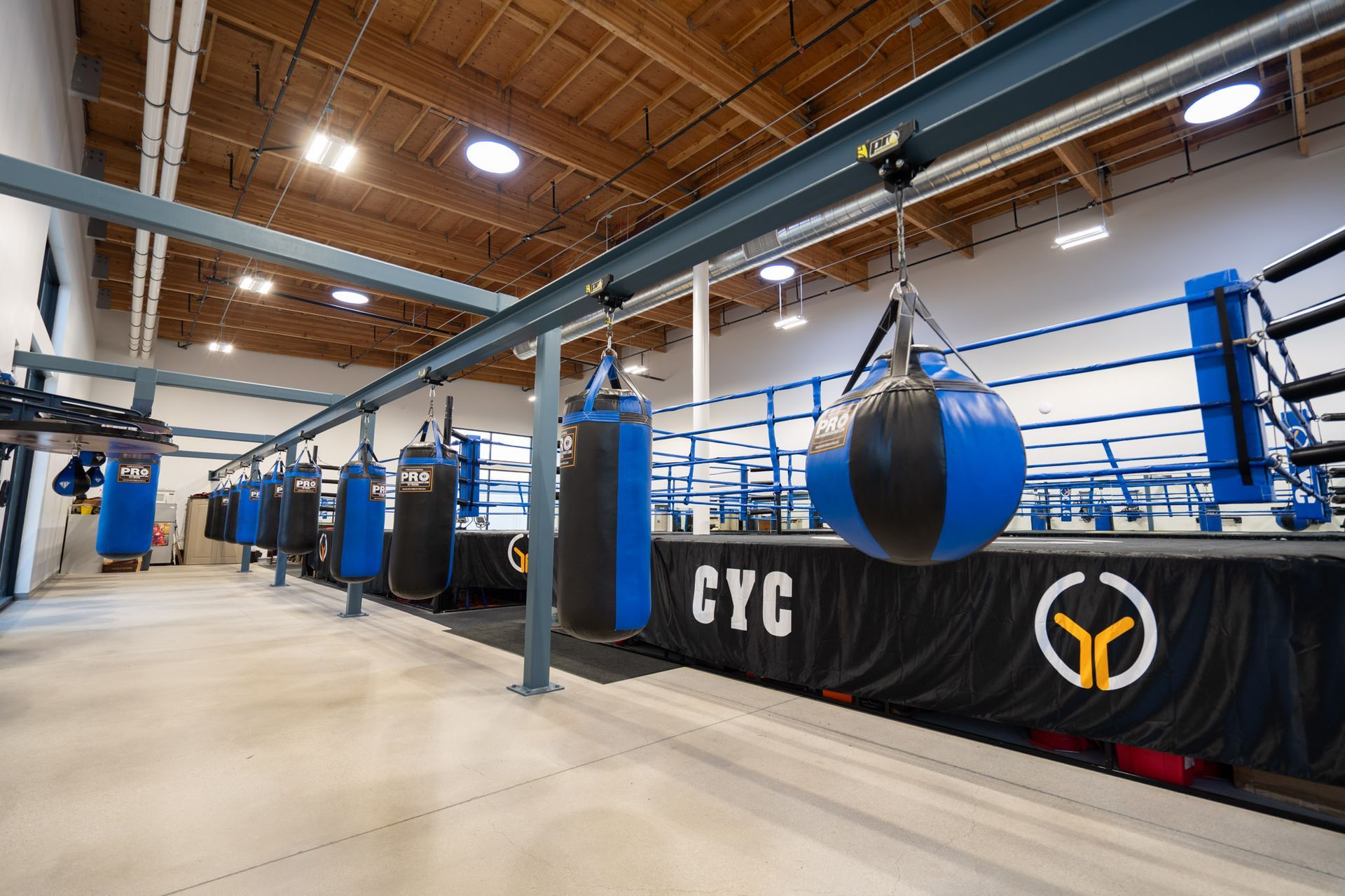 Indoor boxing gym with blue ring ropes, hanging heavy bag, and high wooden ceiling