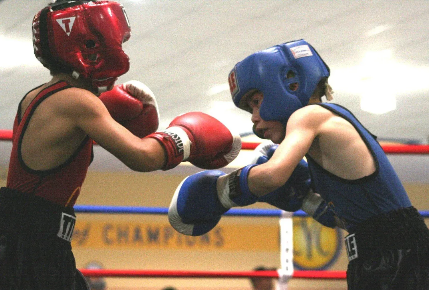 Two boxers in red and blue headgear spar in a boxing ring, gloves raised.