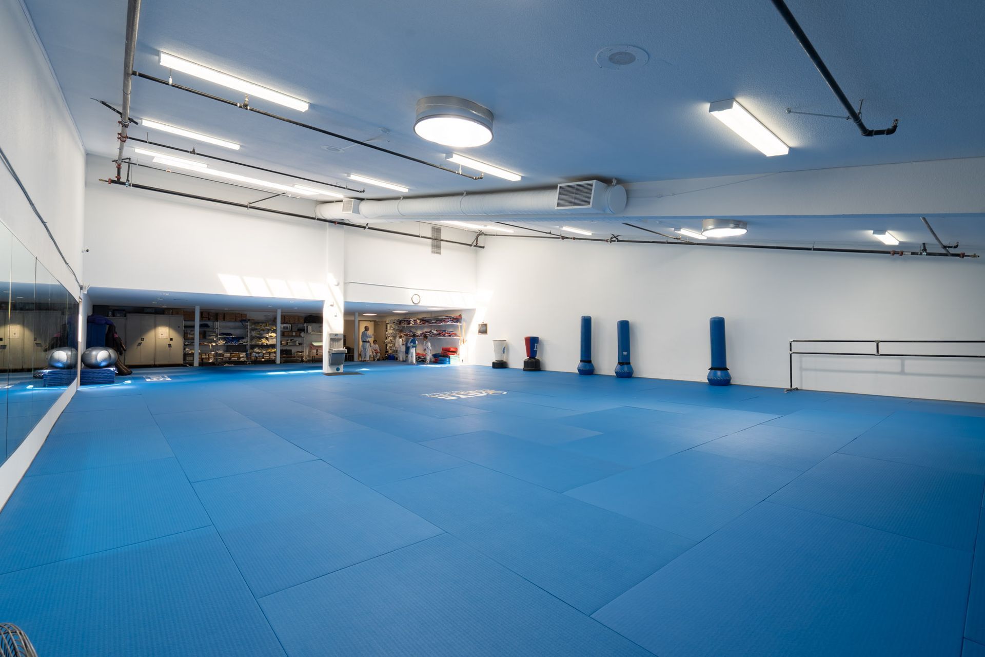Empty blue martial arts training room with mats and wall-mounted punching bags