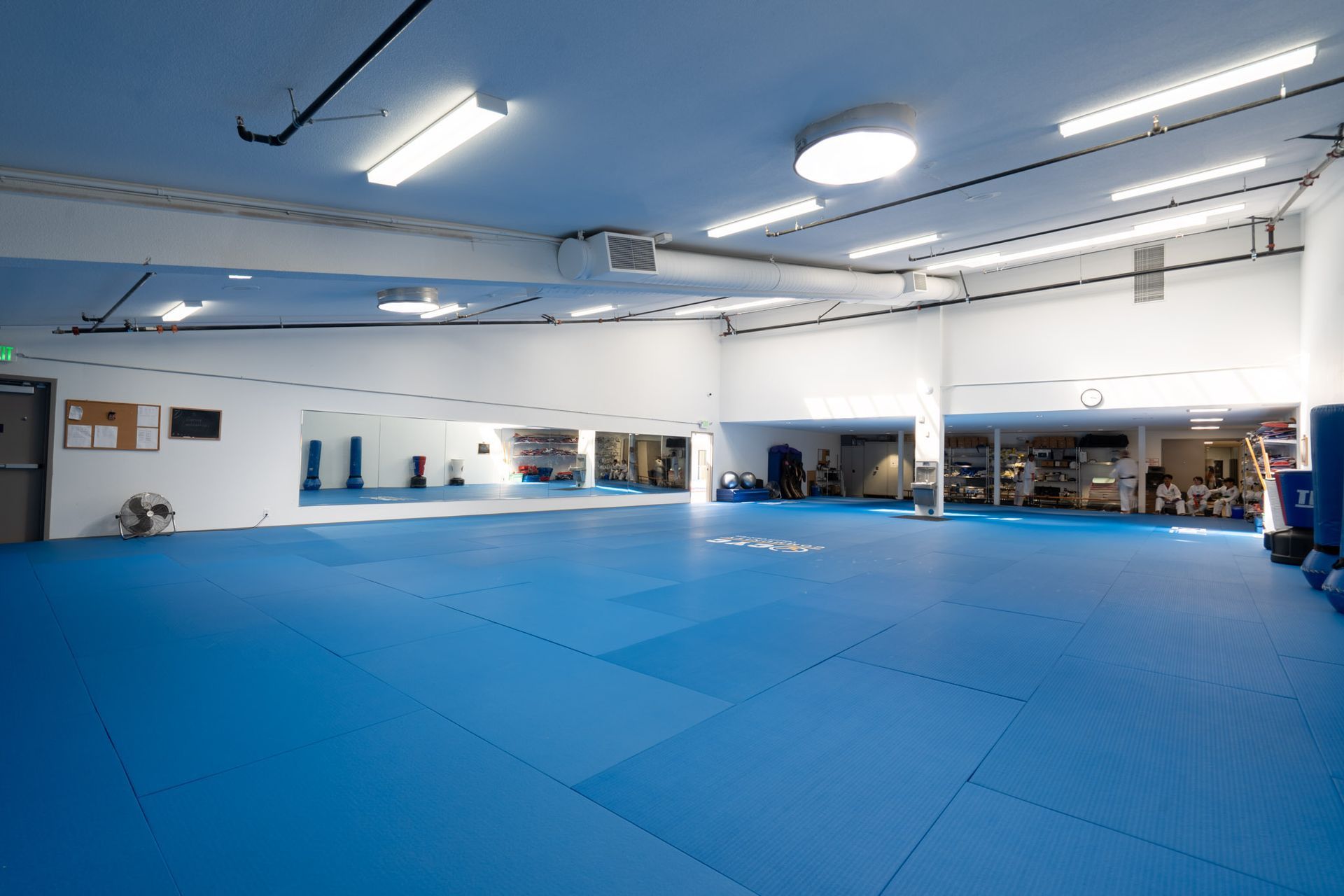Empty martial arts studio with blue mats, fluorescent lights, mirrors, and punching bags along the walls