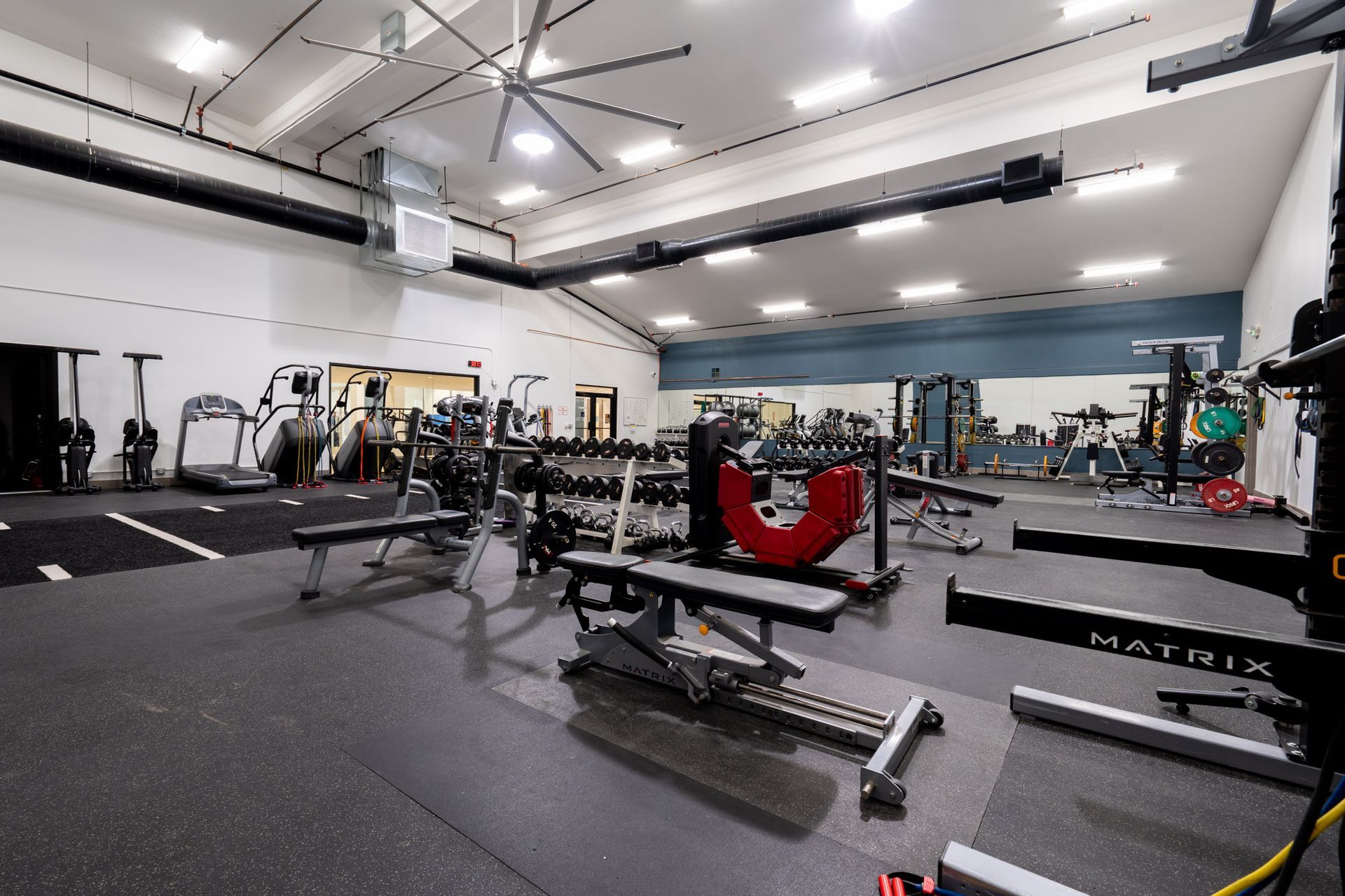 Spacious gym interior with exercise machines, weights, and black flooring under bright ceiling lights