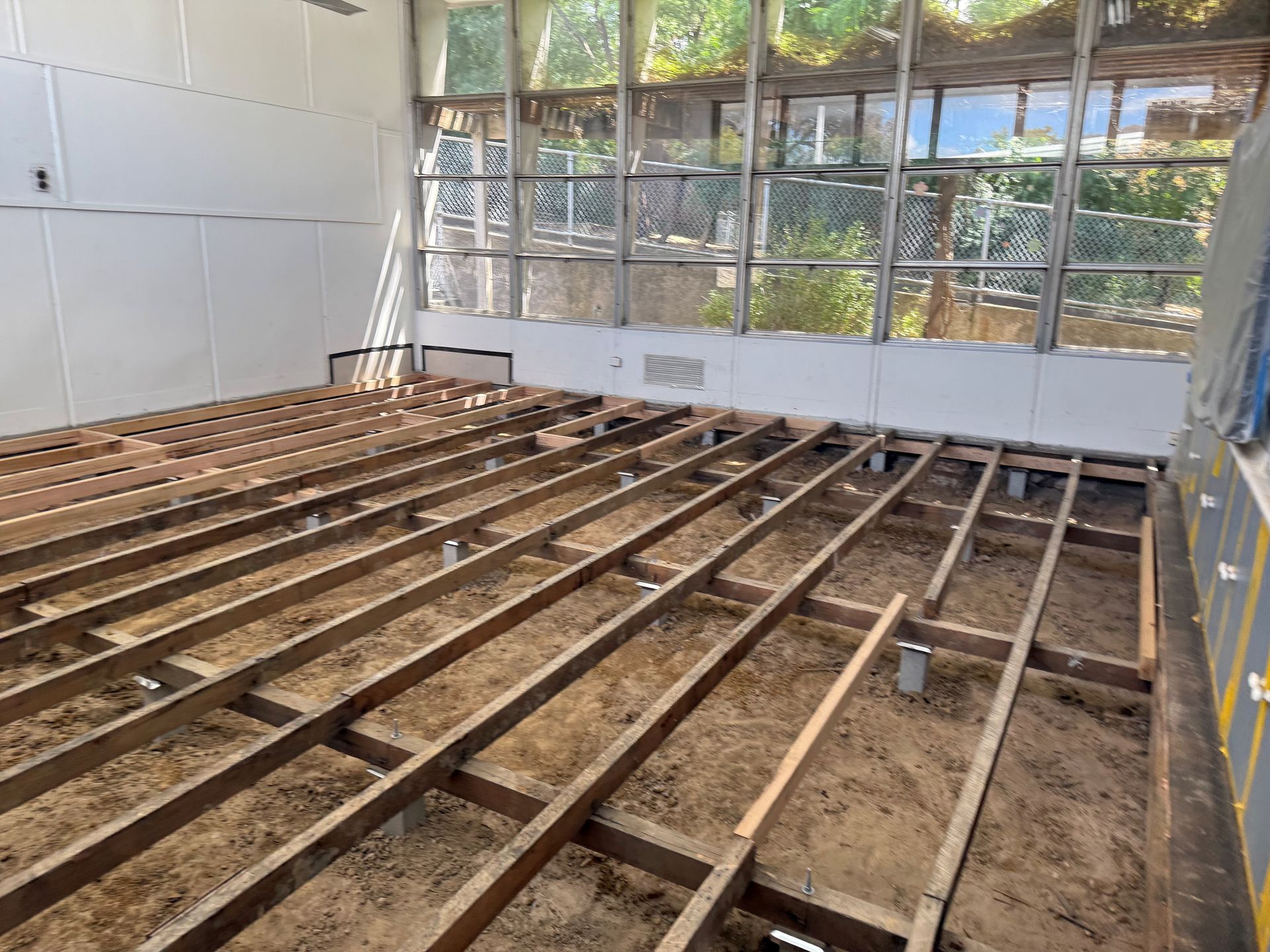 Wooden floor joists exposed in a room, ready for flooring installation. Windows are visible in the background.