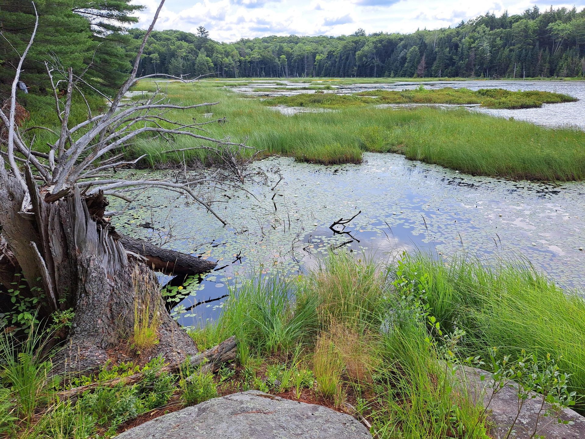 Lake of Bays Heritage Foundation Permanently Protects 107-Acre Marianne Girling Nature Reserve.
