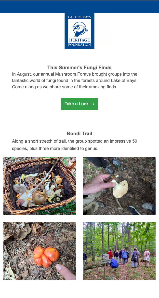 Newsletter Preview Newsletter Preview
