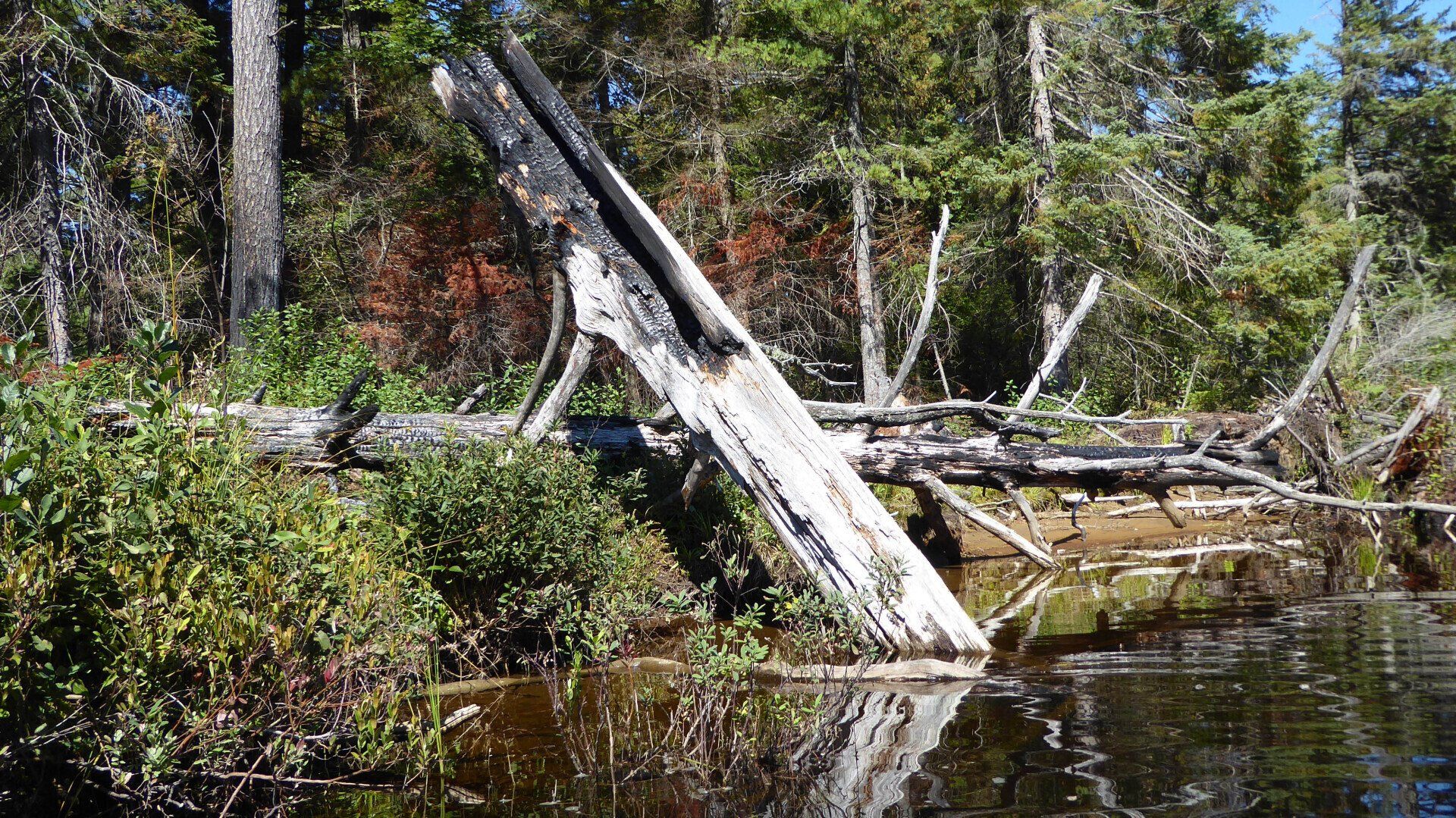 Lower Oxtongue River Heritage Tour & Paddle Guide Lower Oxtongue River Heritage Tour & Paddle Guide
