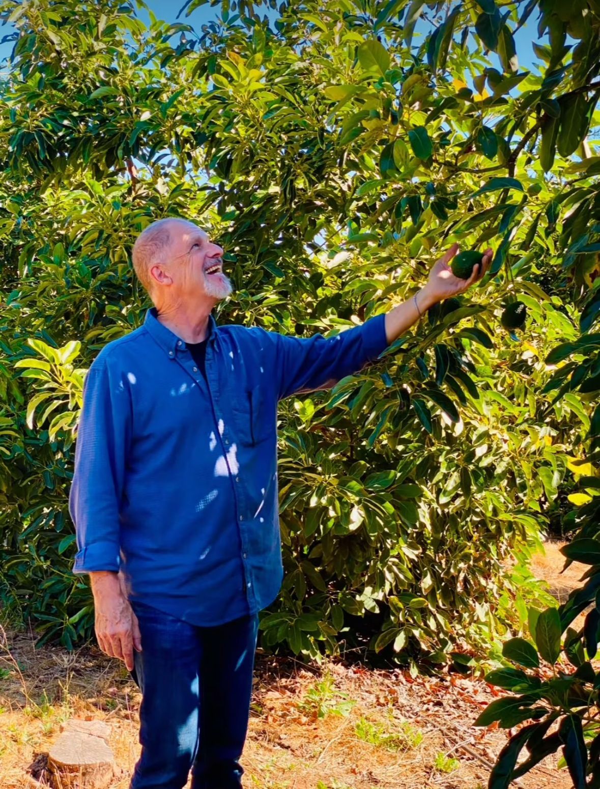 Organic Certification