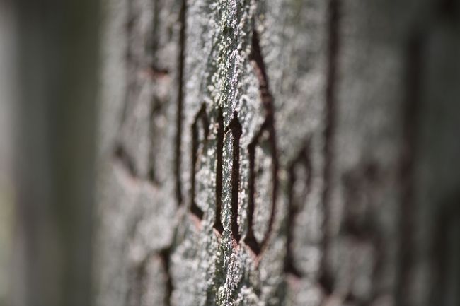 AI generiert: Naturstein Grab
