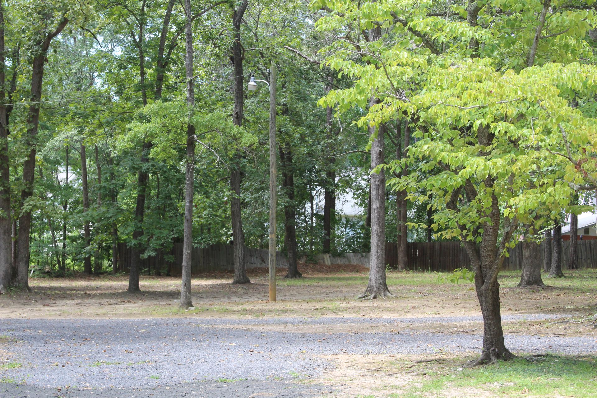 Dogwood Pond Gallery I Columbia, SC I Dogwood Pond