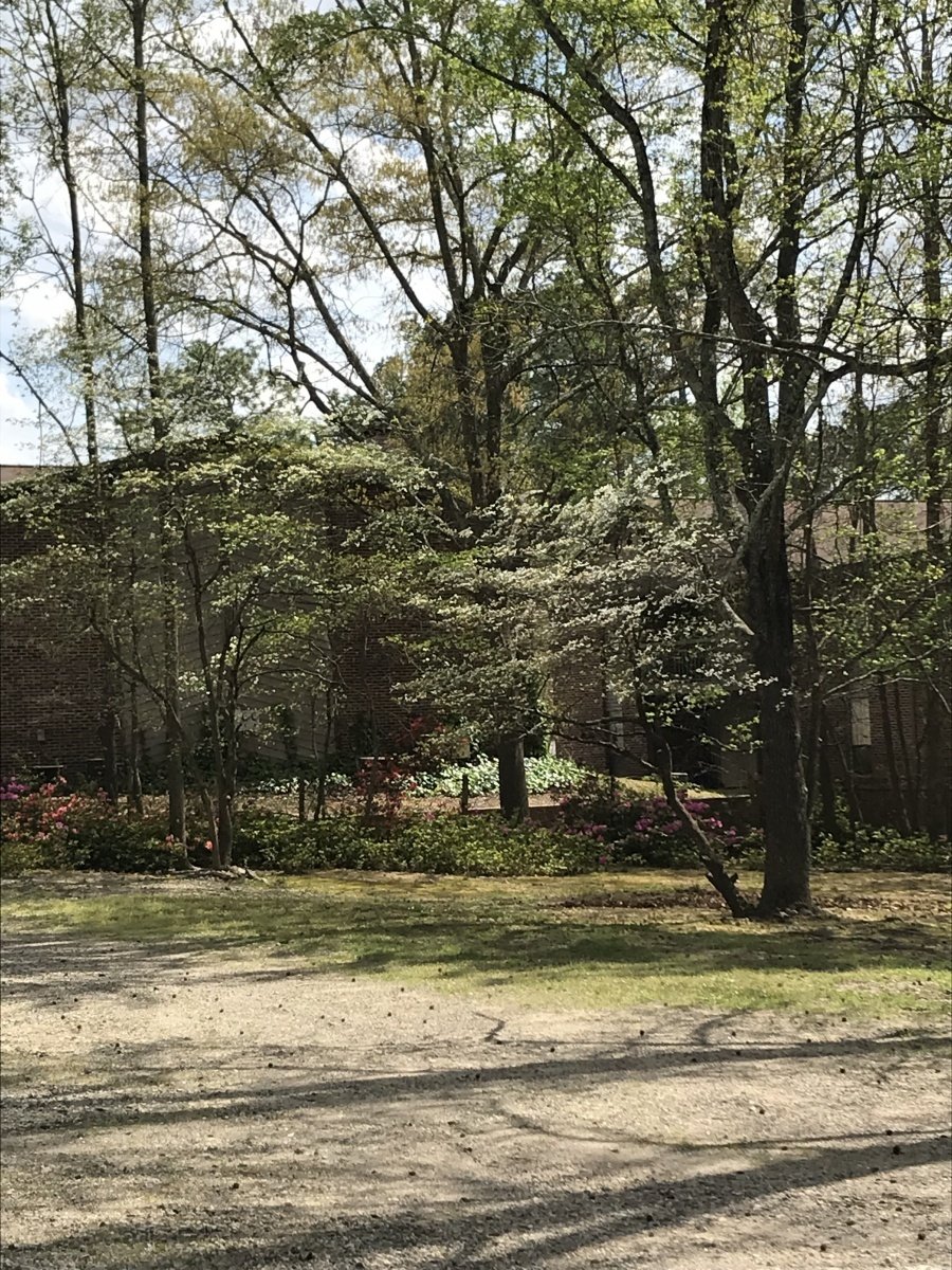 Dogwood Pond Gallery I Columbia, SC I Dogwood Pond