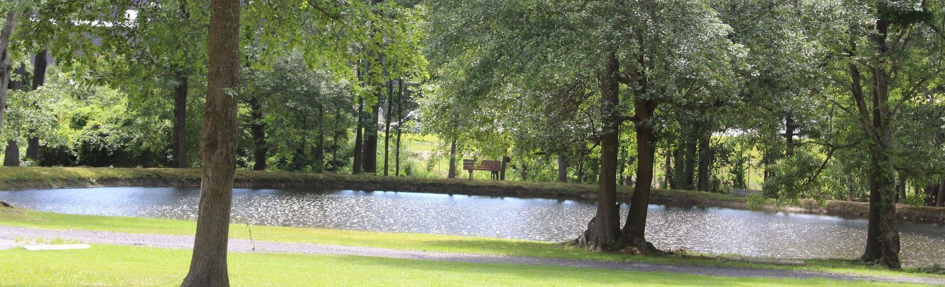 There is a pond in the middle of the park surrounded by trees.