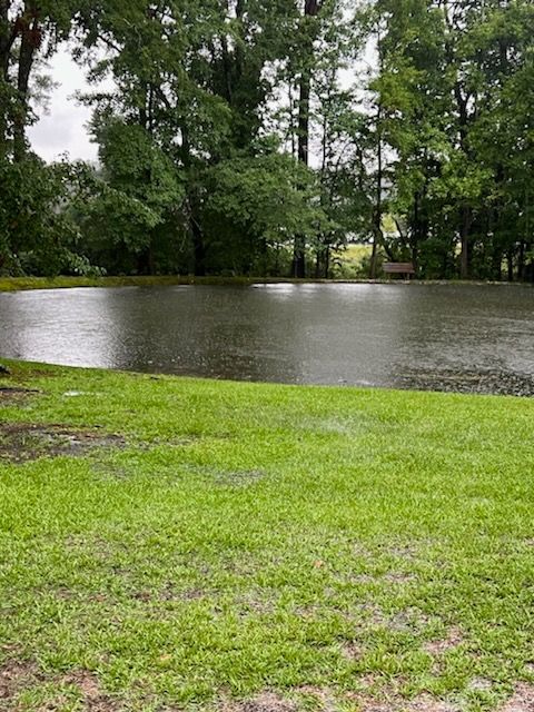 There is a large body of water in the middle of a grassy field.