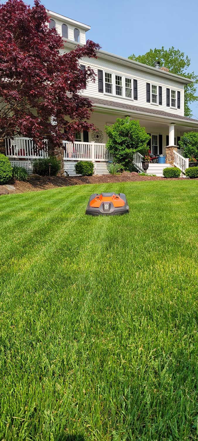 lawn mowers 2