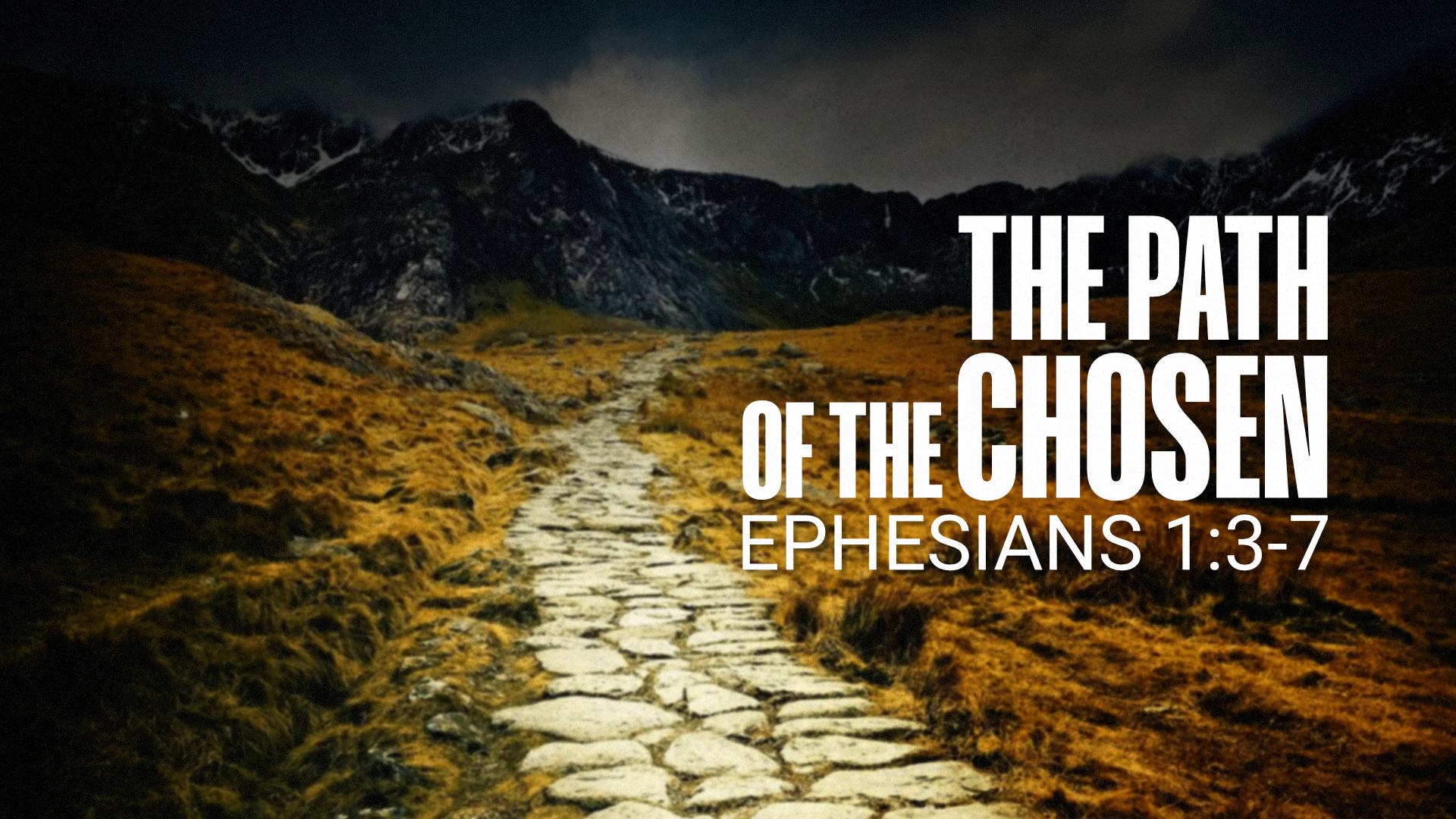 Ephesians 1:3-7 unpacks your powerful new identity in Christ! Learn why you are blessed.