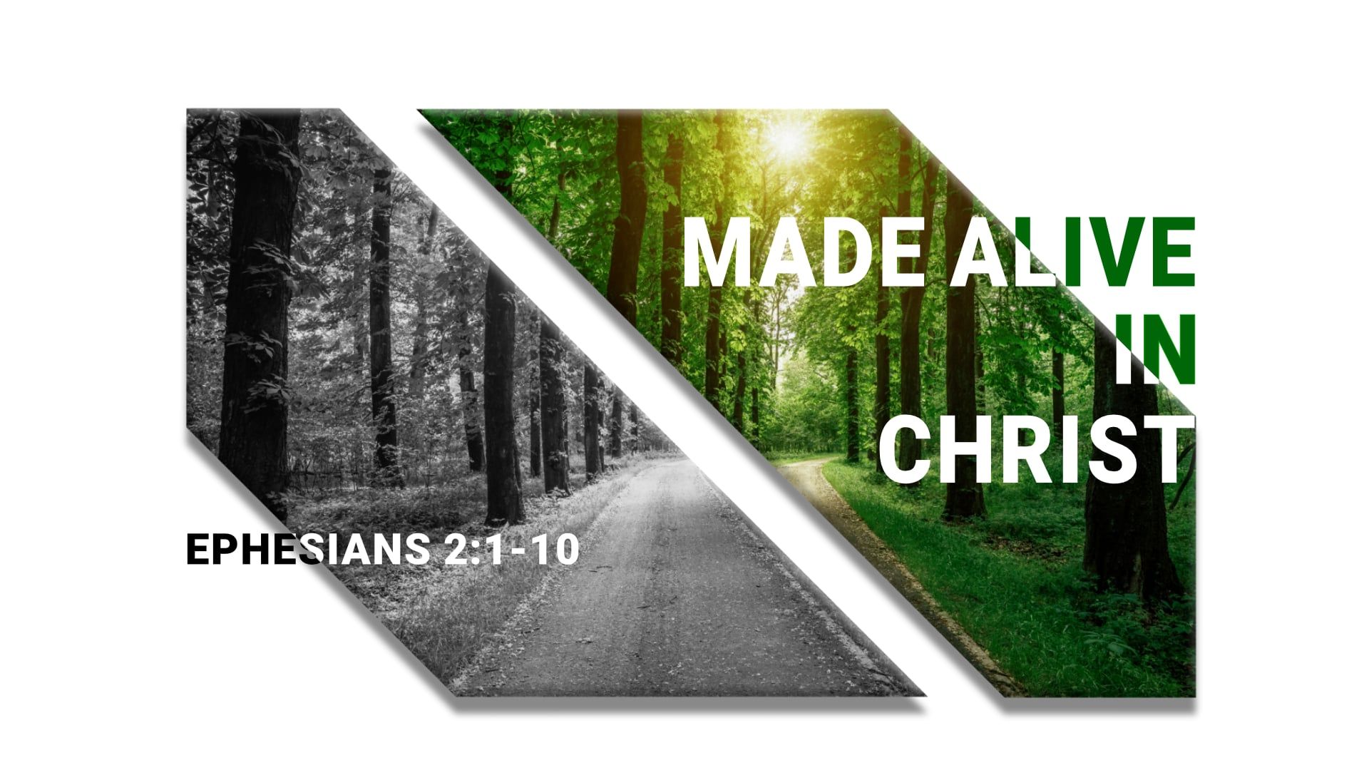 Single Teaching: Ephesians 2:1-10 - Made Alive in Christ