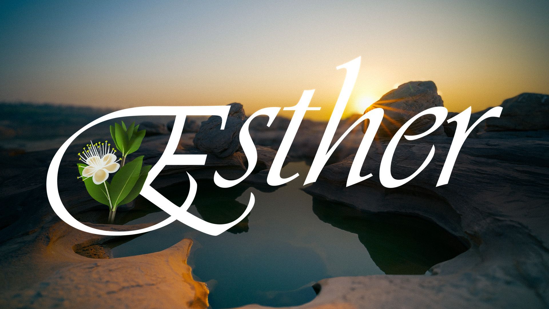 Esther text over a scenic sunset, with a flower in the letter 