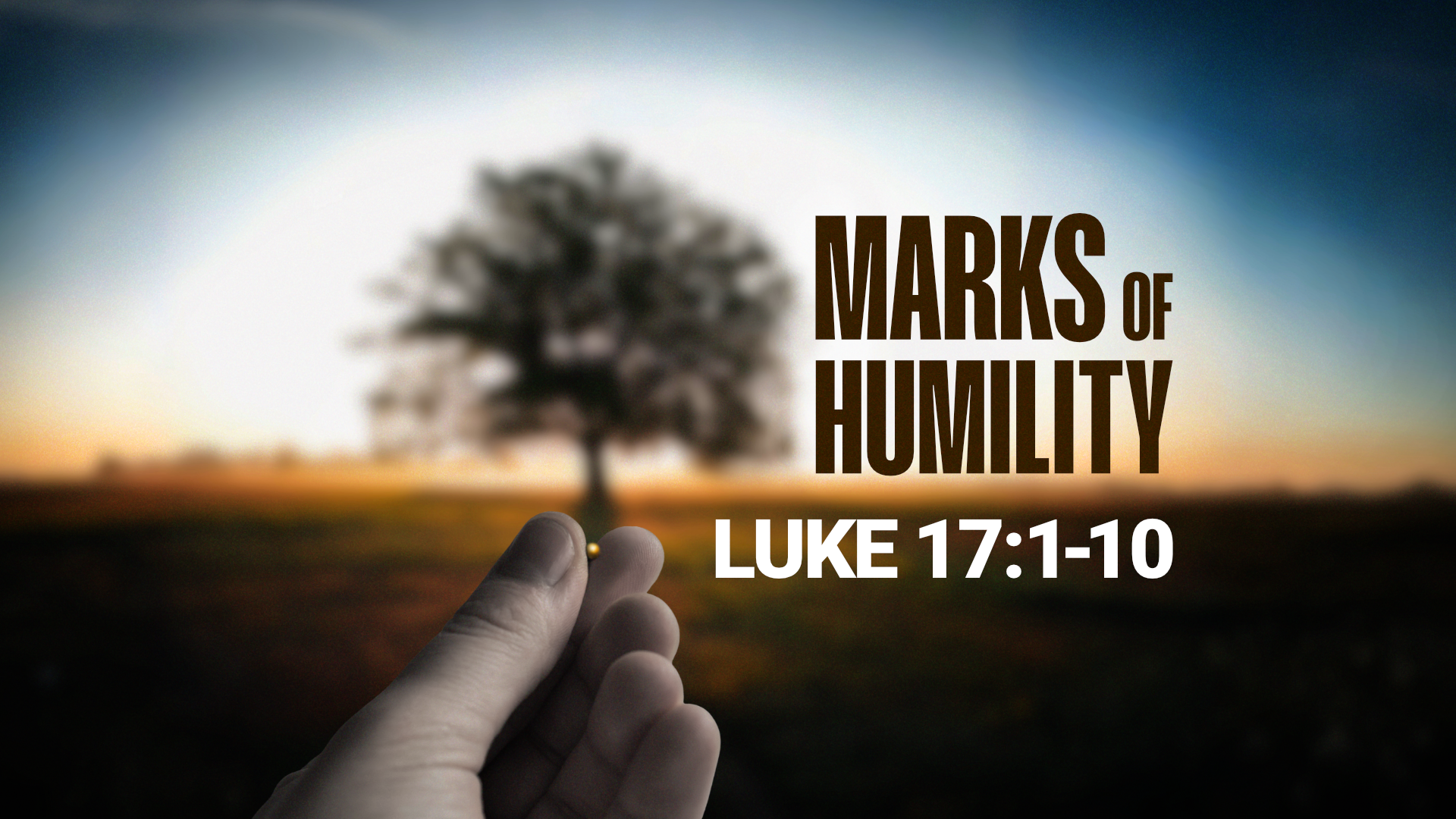 Luke 17:1-10: The marks of true humility. Forgiveness, Faithfulness, and Longsuffering.