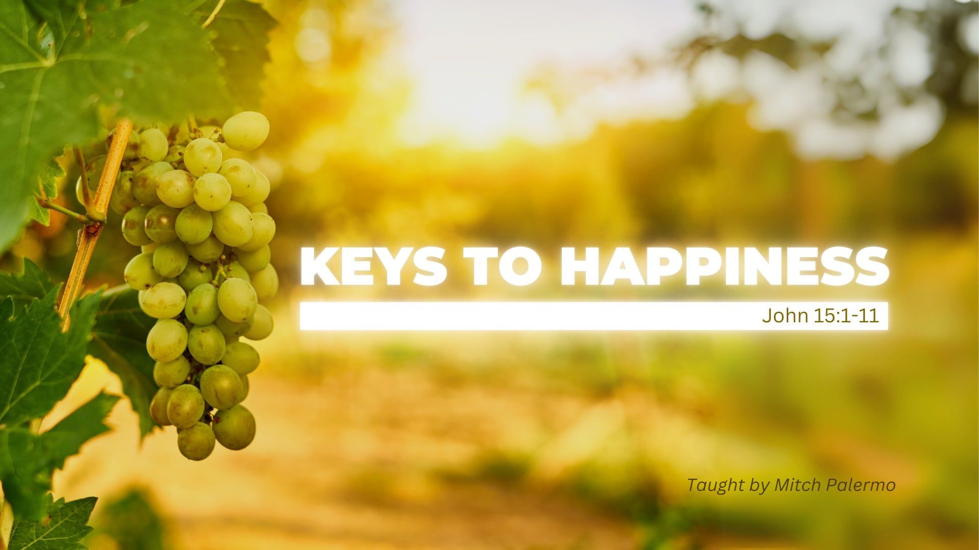 Single Teaching: John 15:1-11 - The Keys to Happiness