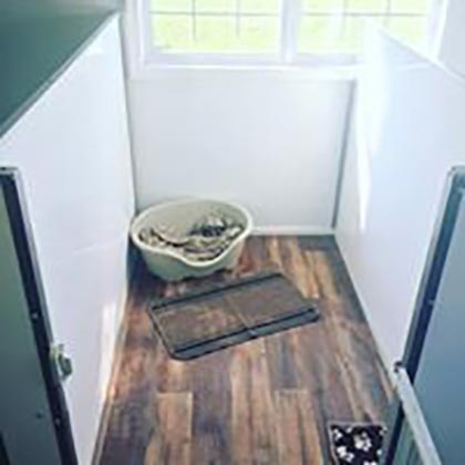 Empty small dog kennel with bed