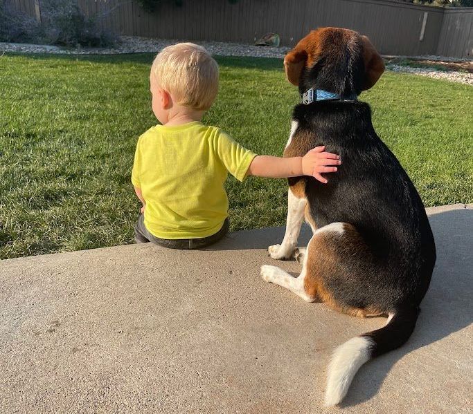Boy sitting with dog on pavement