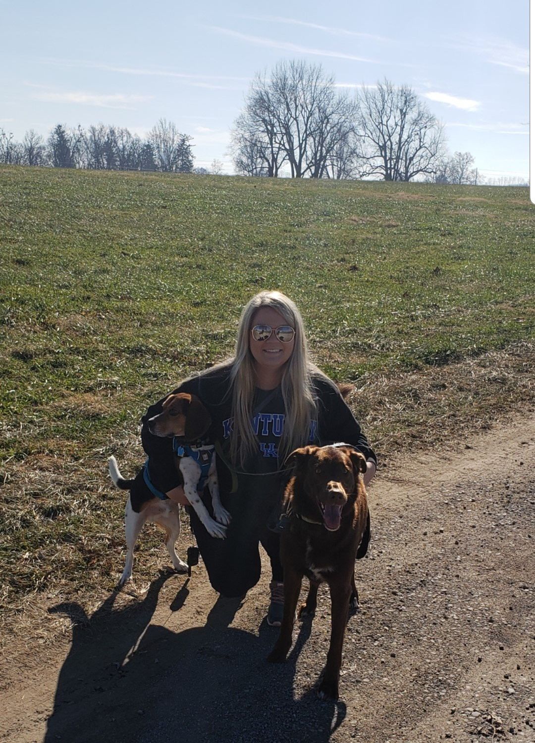 Owner with two dogs on a walk