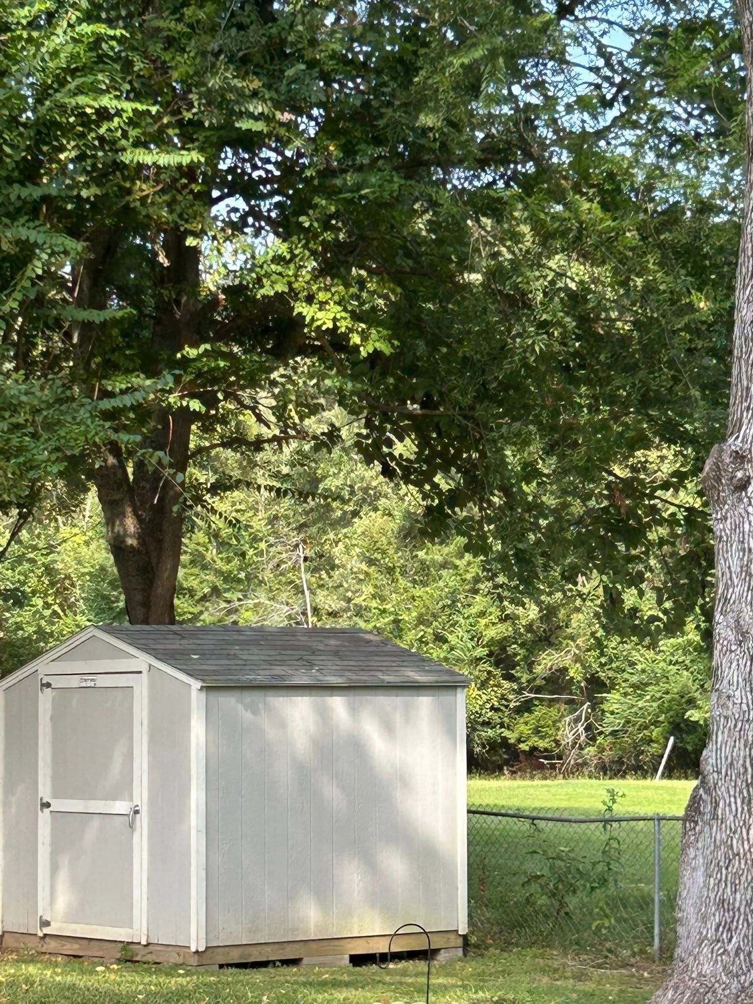 White storage shed under trees beside a chain-link fence in a grassy yard.