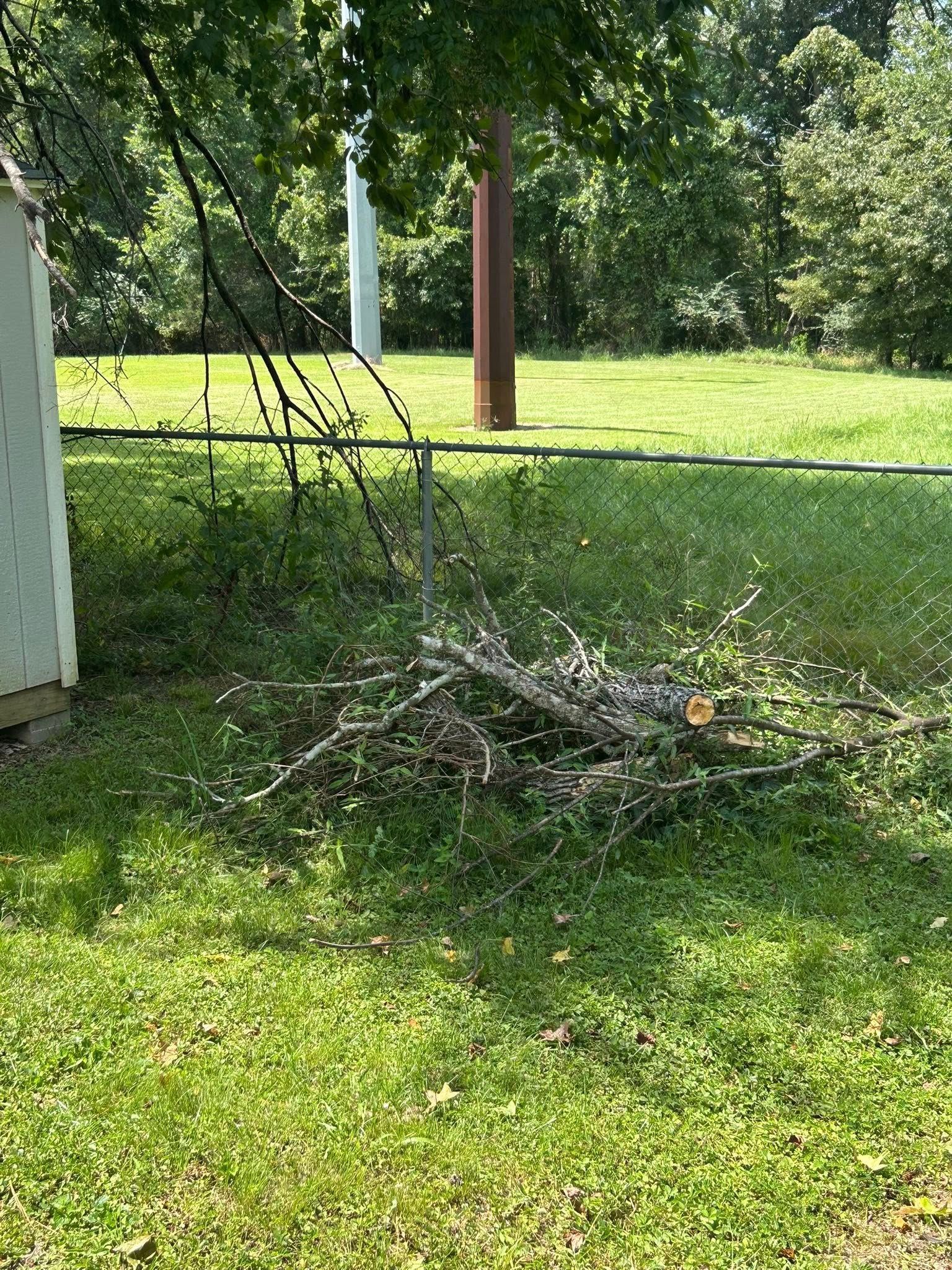Pile of tree branches and brush on a grassy lawn near a wooded area