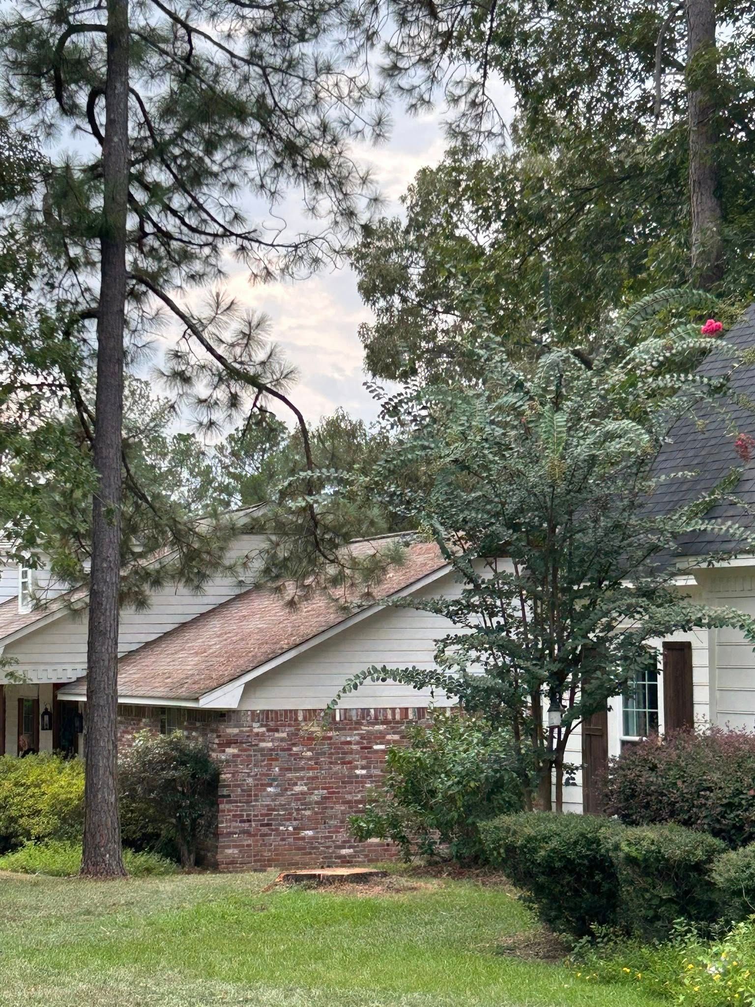 Suburban house with brick and siding, trees and shrubs in the front yard